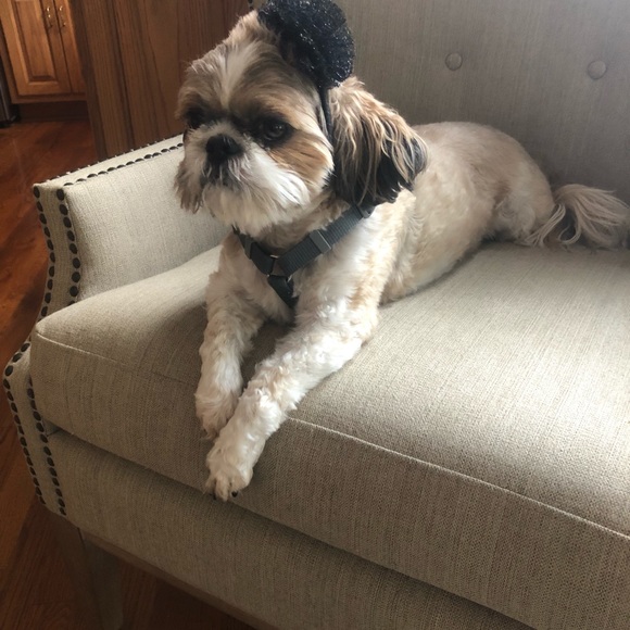 Meet your Posher, October - Picture 1 of 1